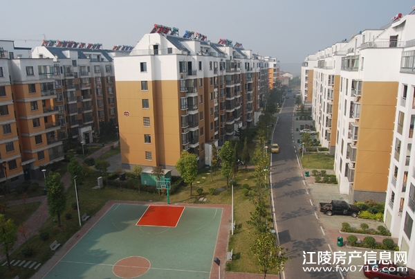 �������������ֻ�԰С��