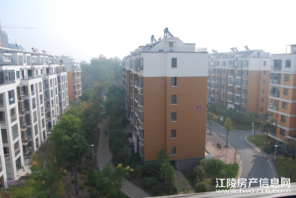 �������������ֻ�԰С��