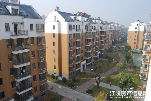 �������������ֻ�԰С��