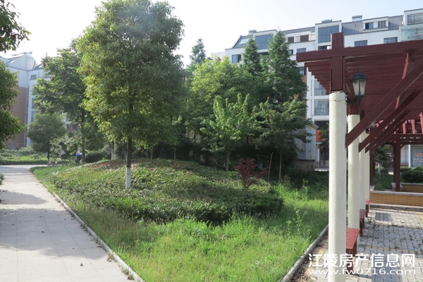 �����ذ��ֻ�԰С��