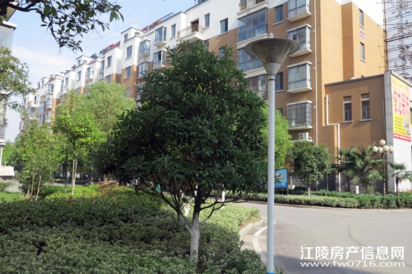 �����ذ��ֻ�԰С��