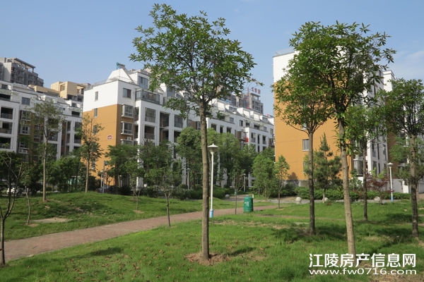 �����ذ��ֻ�԰С��