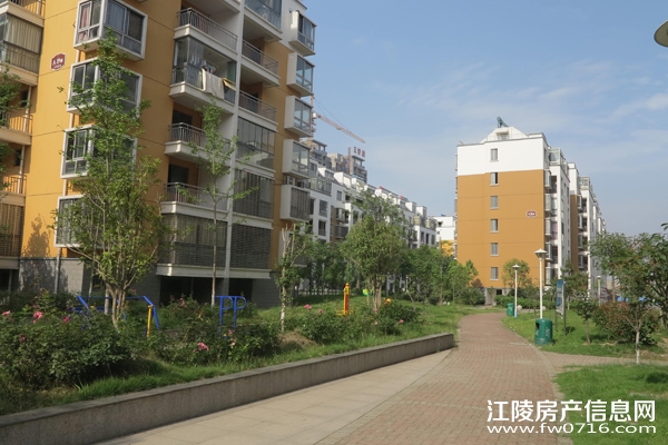 �����ذ��ֻ�԰С��