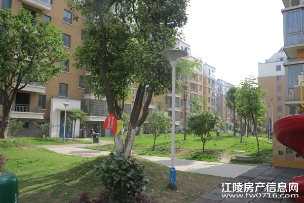 �����ذ��ֻ�԰С��