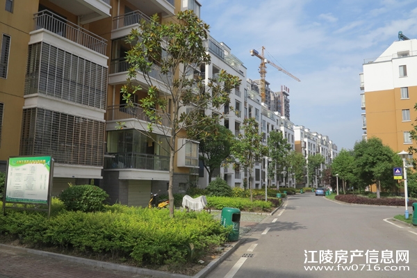 �����ذ��ֻ�԰С��