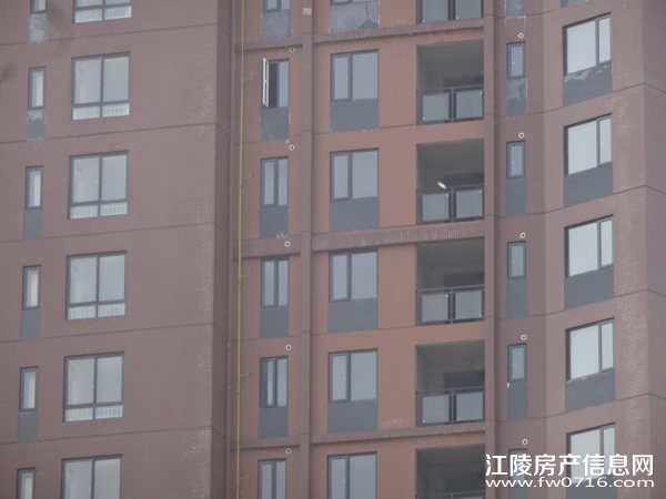 �������꿤��