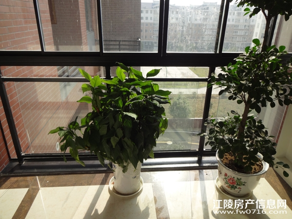 ���꿤��12���������巿װ��Ч��չʾ(��) 