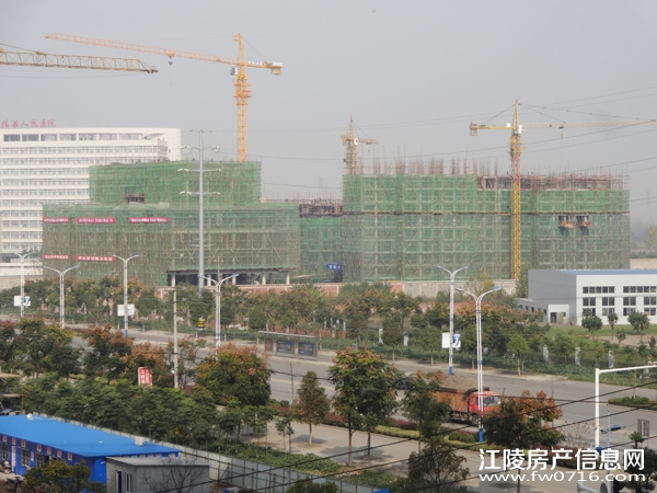 ���꾣������