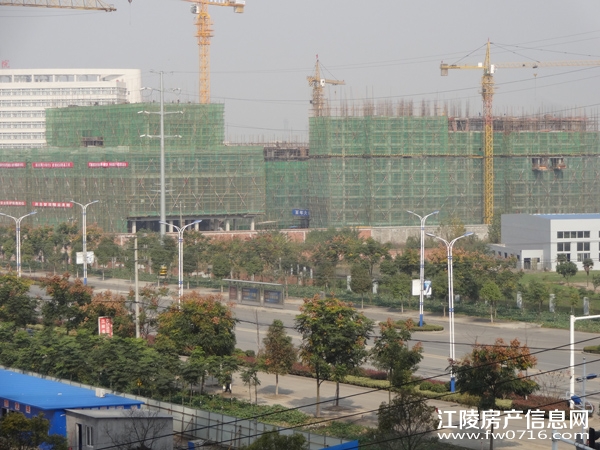 ���꾣������