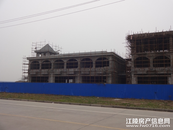 ������״�Ƶ�