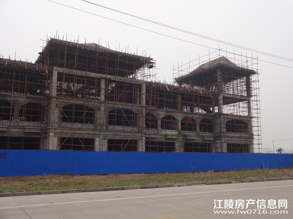 ������״�Ƶ�