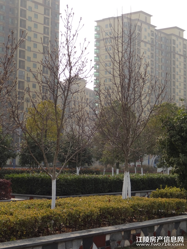 �������˽�����ͥ