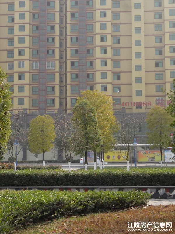 �������˽�����ͥ