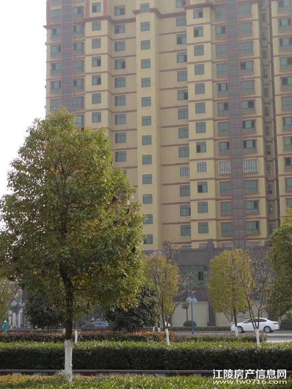 �������˽�����ͥ