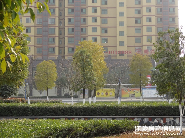 �������˽�����ͥ