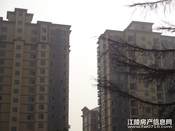 �������˽�����ͥ