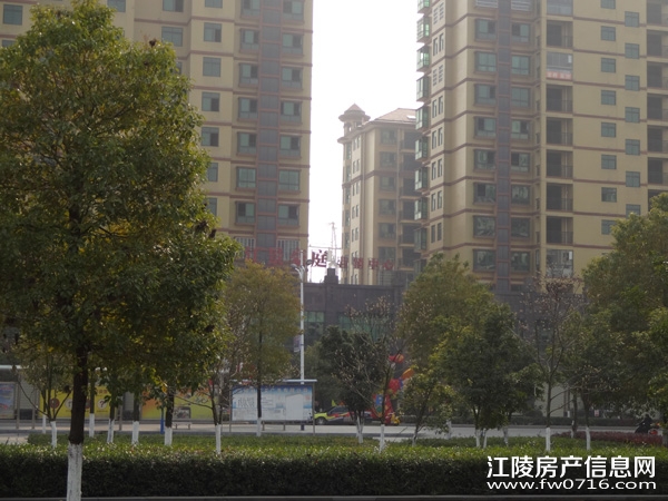 �������˽�����ͥ