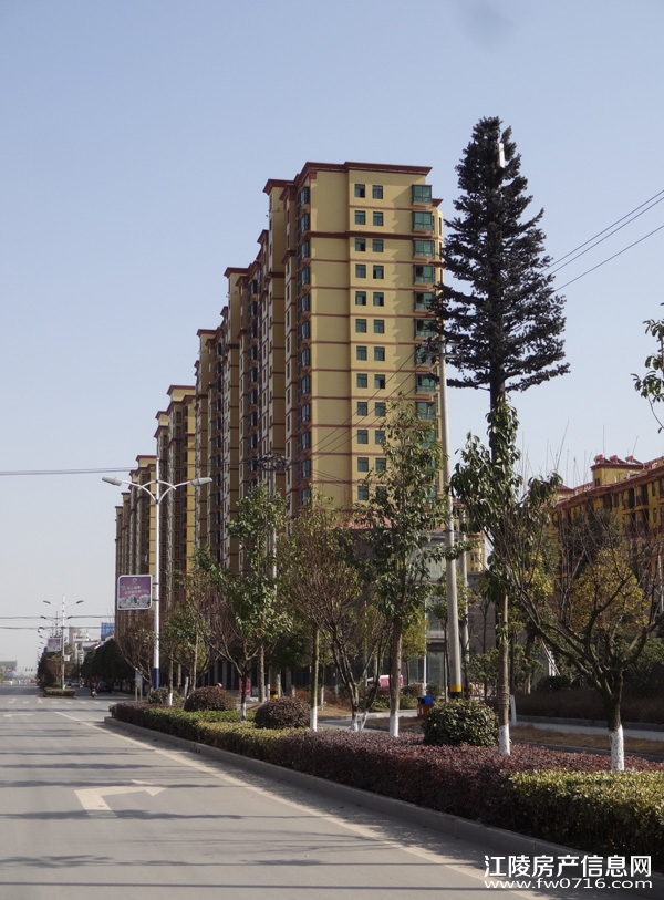 ���ǽ�����ͥС���ؽ����⾰ʵ��ͼ����