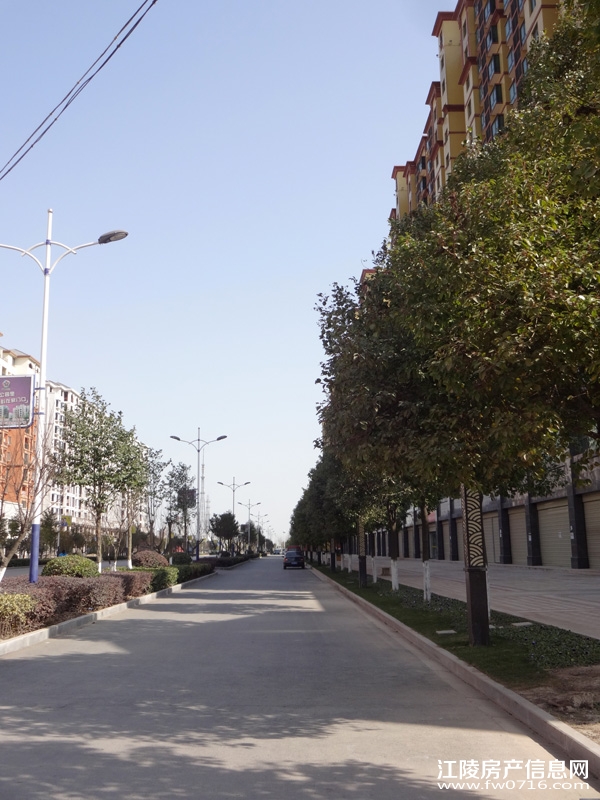 ���ǽ�����ͥС���ؽ����⾰ʵ��ͼ����