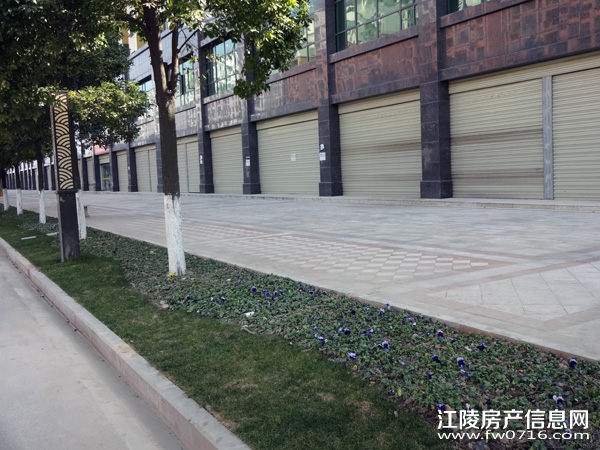 ���ǽ�����ͥС���ؽ����⾰ʵ��ͼ����