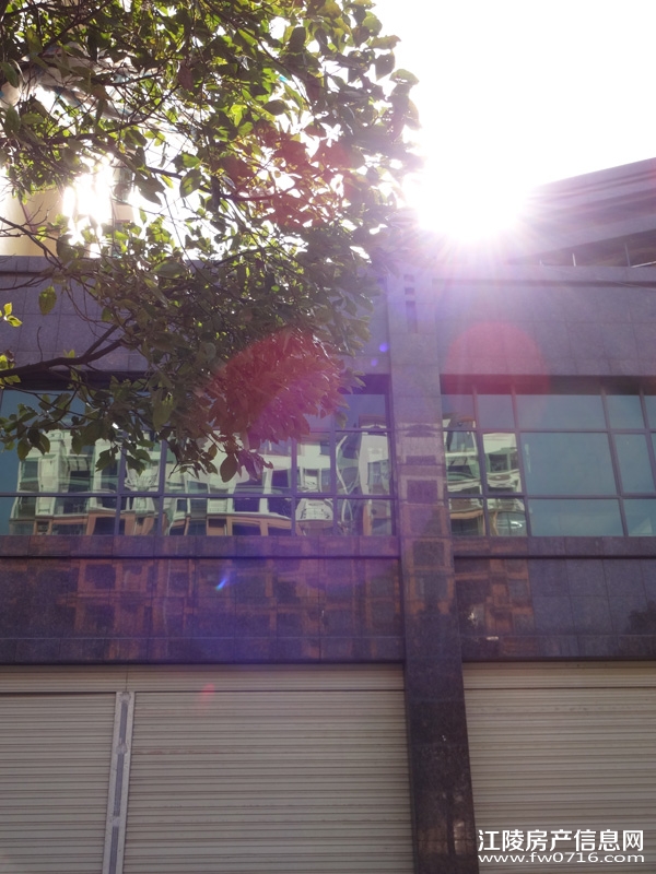 �������˽�����ͥ