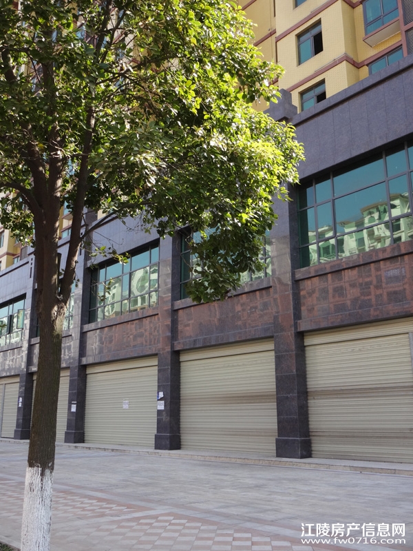 �������˽�����ͥ