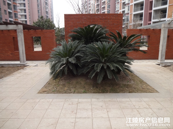 �������԰С��