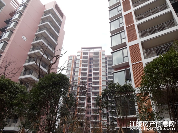 �������԰