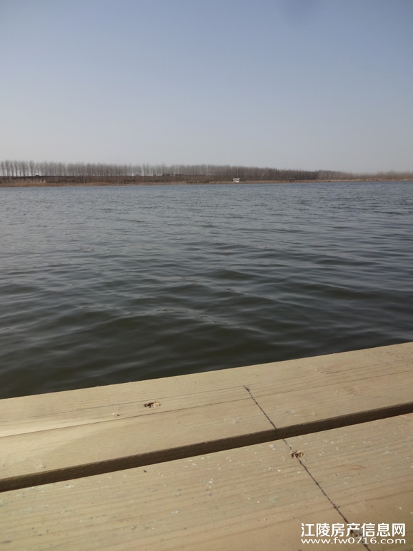 �����������Ǳ����ȼٴ���Ԩ��