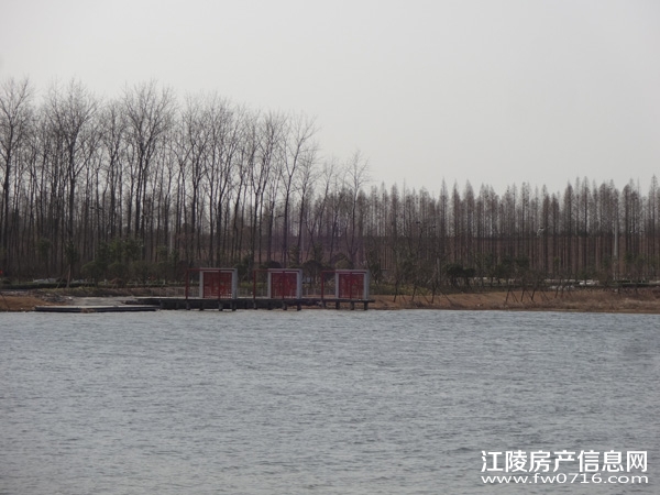 �����������Ǳ����ȼٴ���Ԩ��