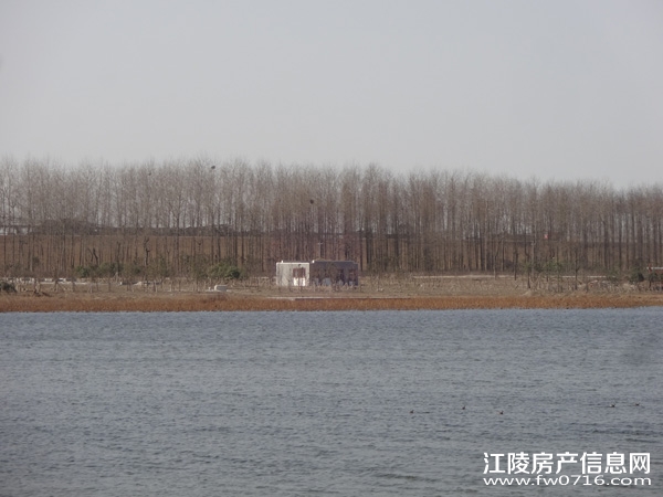 �����������Ǳ����ȼٴ���Ԩ��