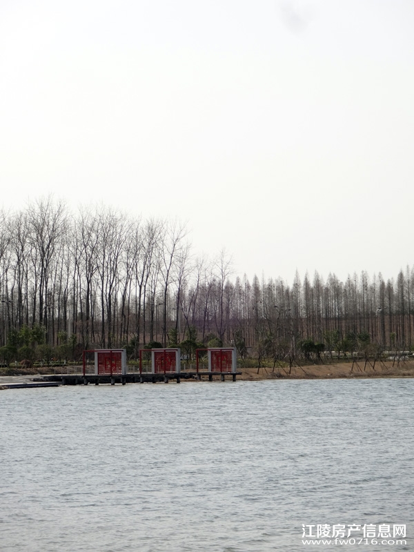 �����������Ǳ����ȼٴ���Ԩ��