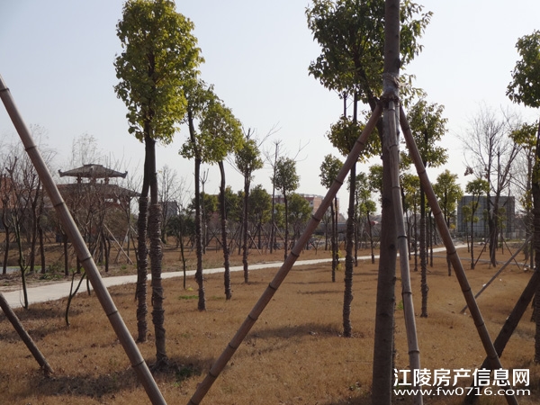 �����������Ǳ����ȼٴ���Ԩ��