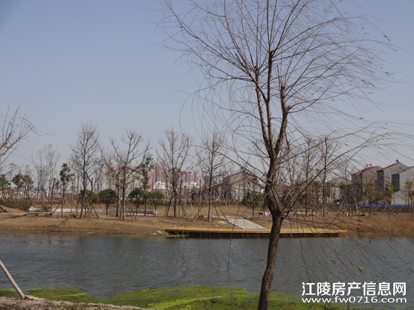 �����������Ǳ����ȼٴ���Ԩ��