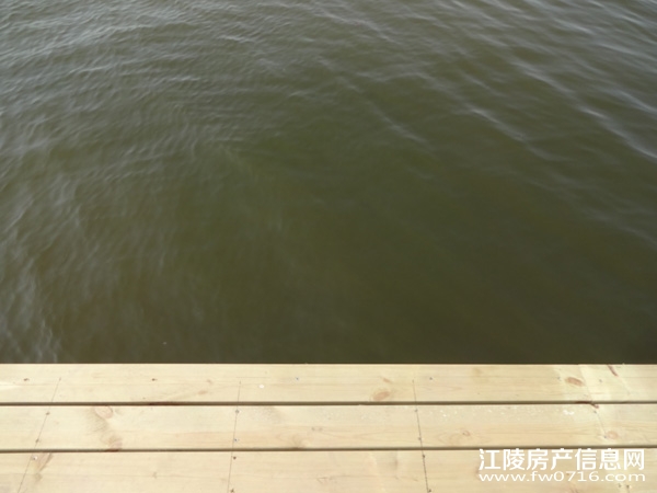 �����������Ǳ����ȼٴ���Ԩ��