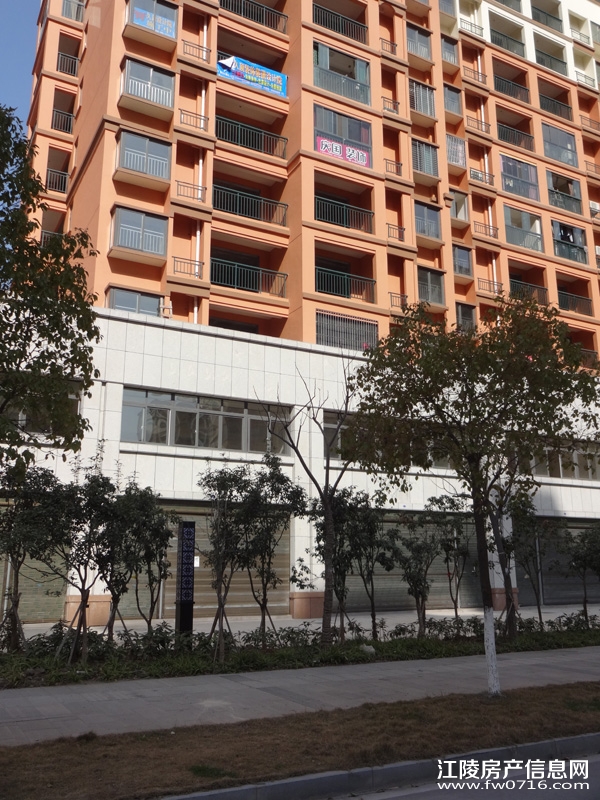 ���ݽ�����ֻ�԰