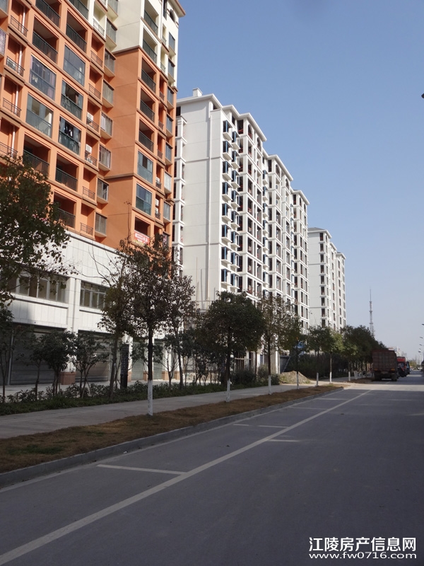 ���ݽ�����ֻ�԰