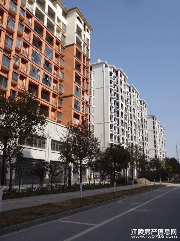 ���ݽ�����ֻ�԰