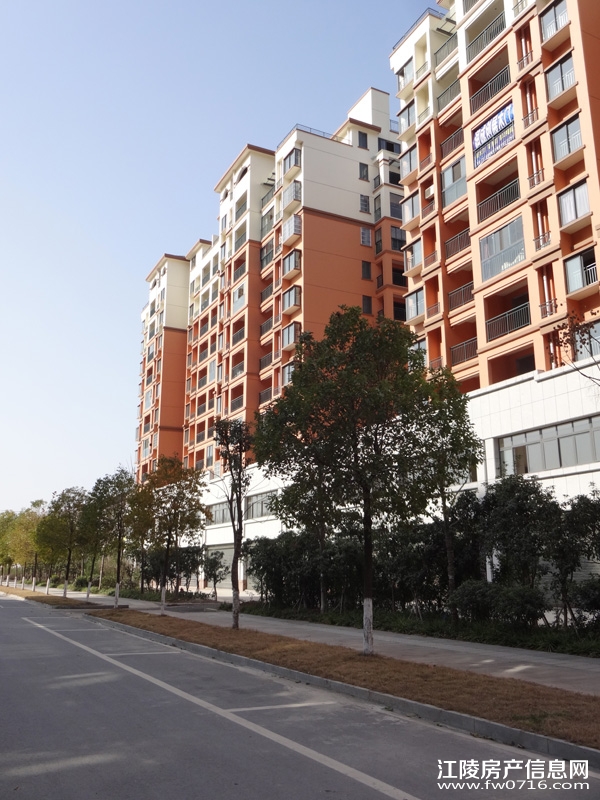 ���ݽ�����ֻ�԰