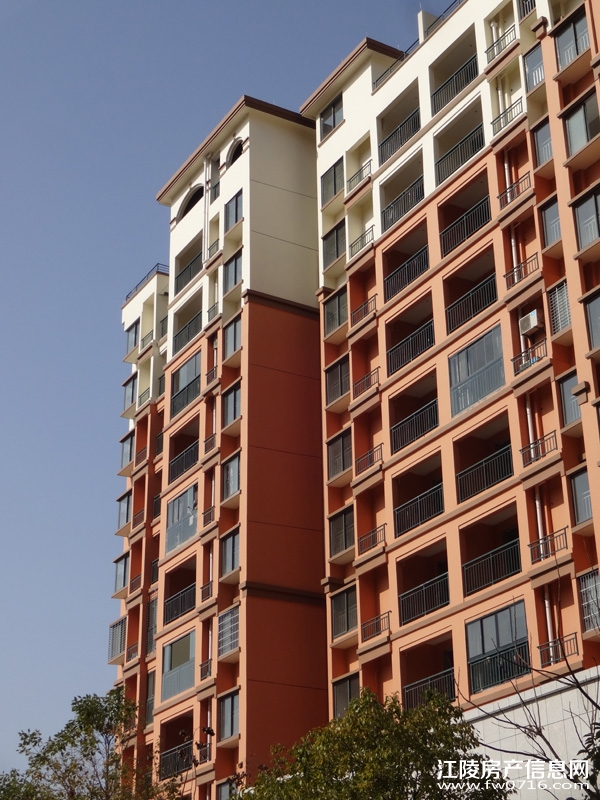 ���ݽ�����ֻ�԰