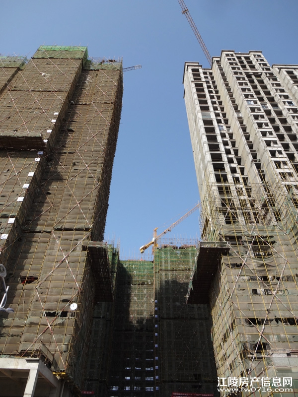 ����Ͱ�����뵺¥����Ŀ