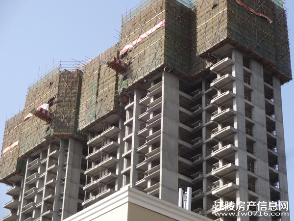 ����Ͱ�����뵺¥����Ŀ