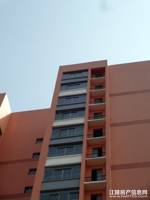 �����Ѩ���г�