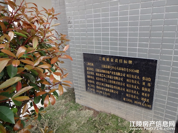 �����Ѩ���г�