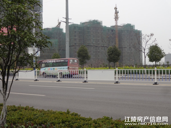 ���꾣������С��