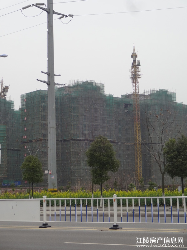 ���꾣������С��