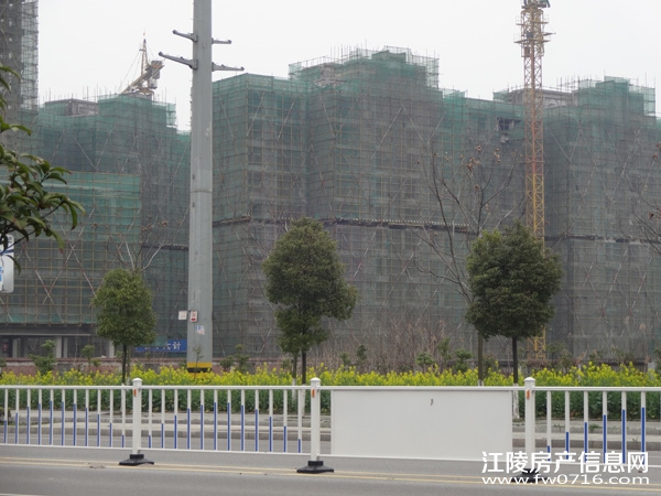 ���꾣������С��