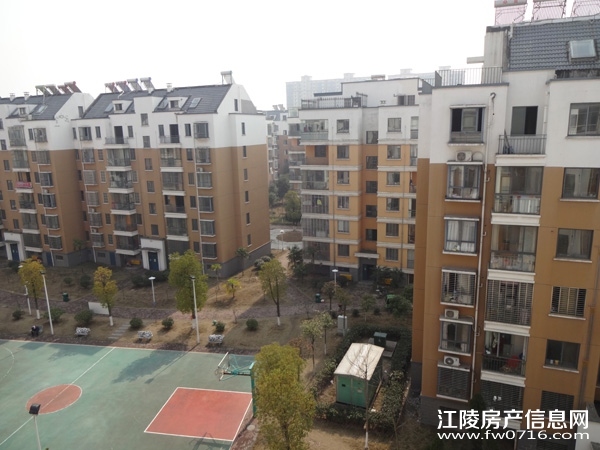 ����������ֻ�԰С��