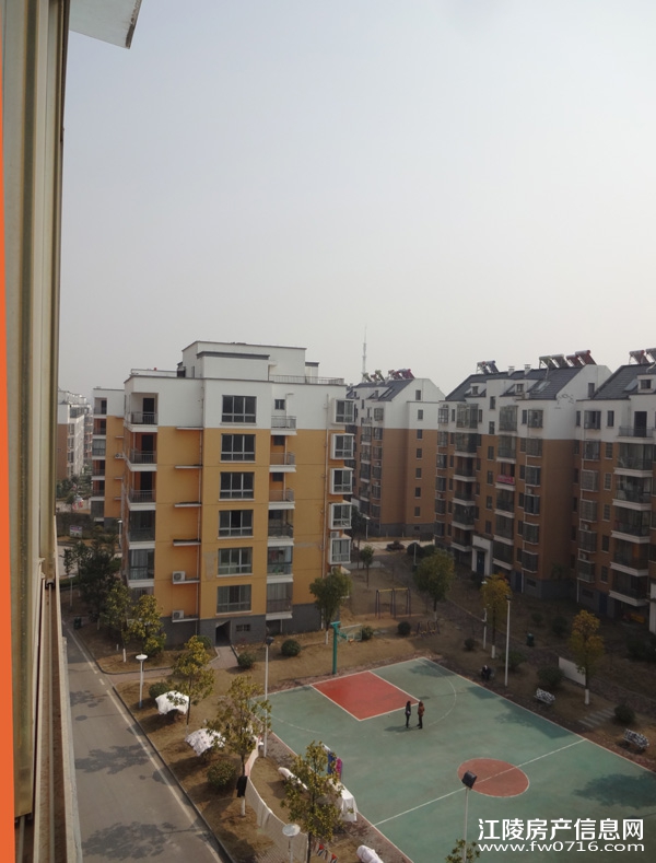 ����������ֻ�԰С��