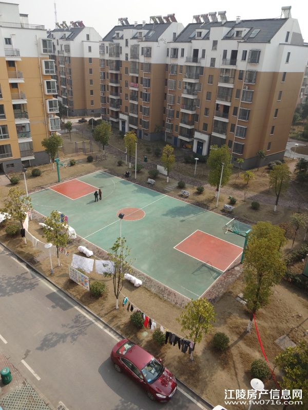 ����������ֻ�԰С��